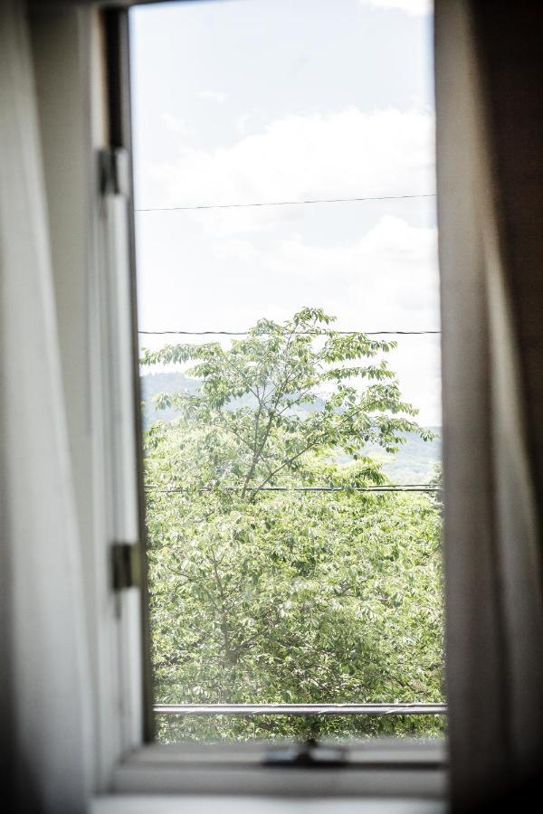 Fairytale Loft Suite 1 Bed, 1 Bath Luxury Apartment In Downtown Belmont Шарлотсвил Екстериор снимка